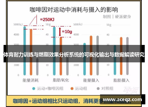 体育耐力训练与燃脂效果分析系统的可视化输出与数据解读研究